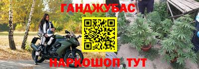 амф Камышлов